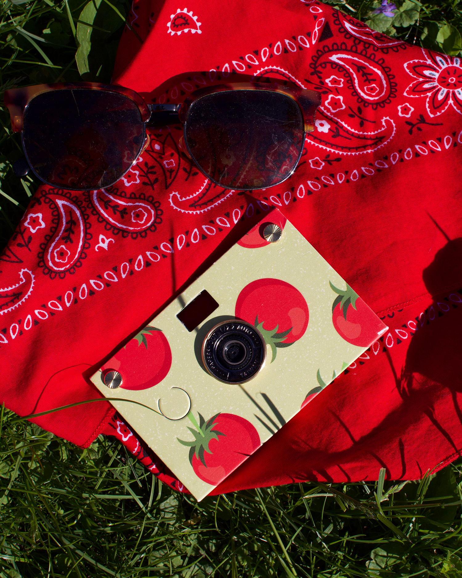 Why Paper Shoot Is A Must-Have For The Summer of 2025
