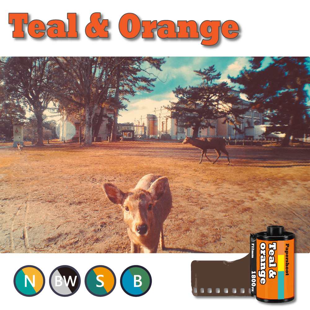 Filter Expansion 4-Card Set (16 Styles)