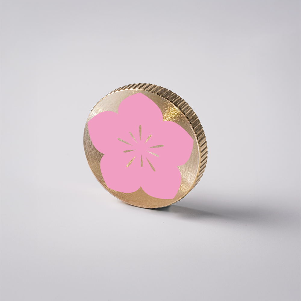 Brass Lens Cap with Colorful Coating (Screw-On)