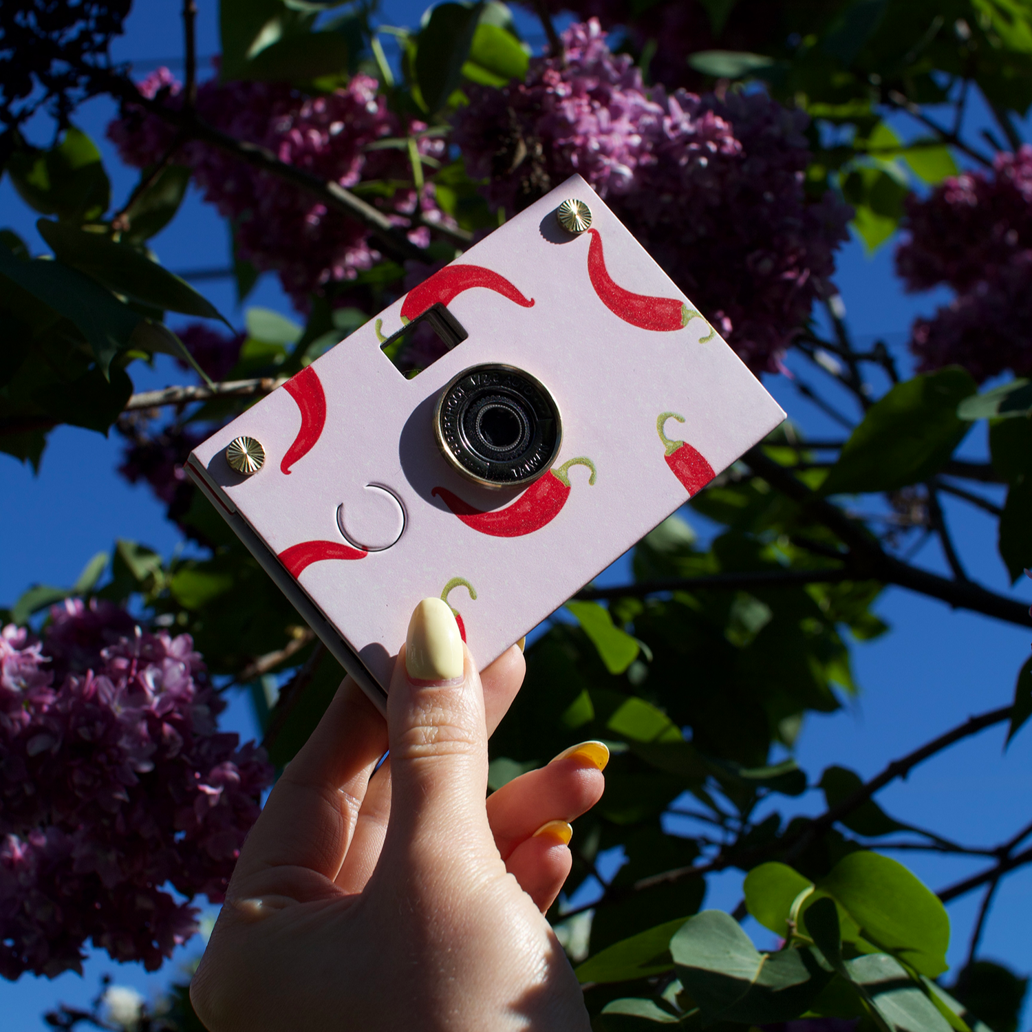 FruitPlay Paper Camera