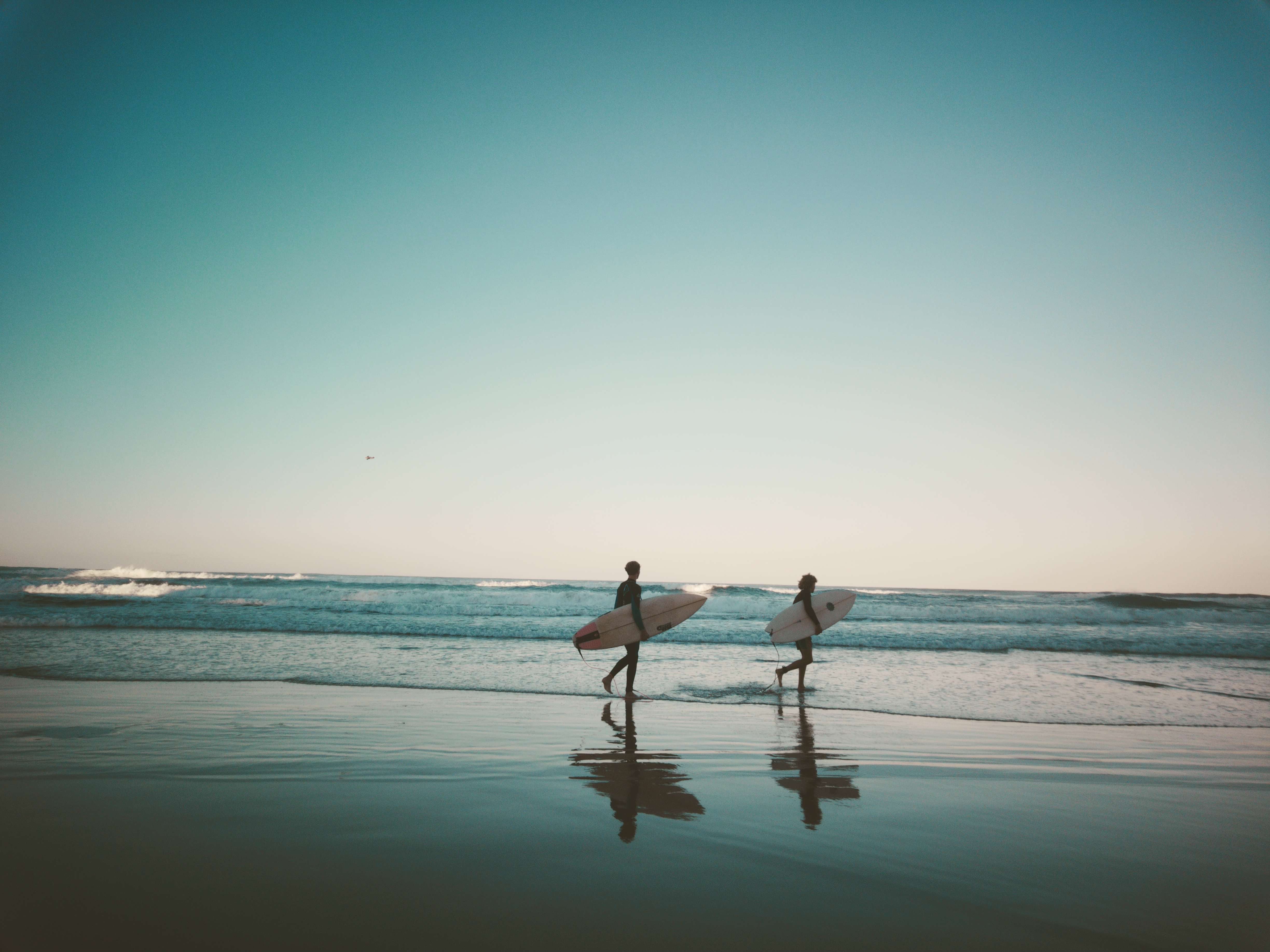 Filter Expansion Card