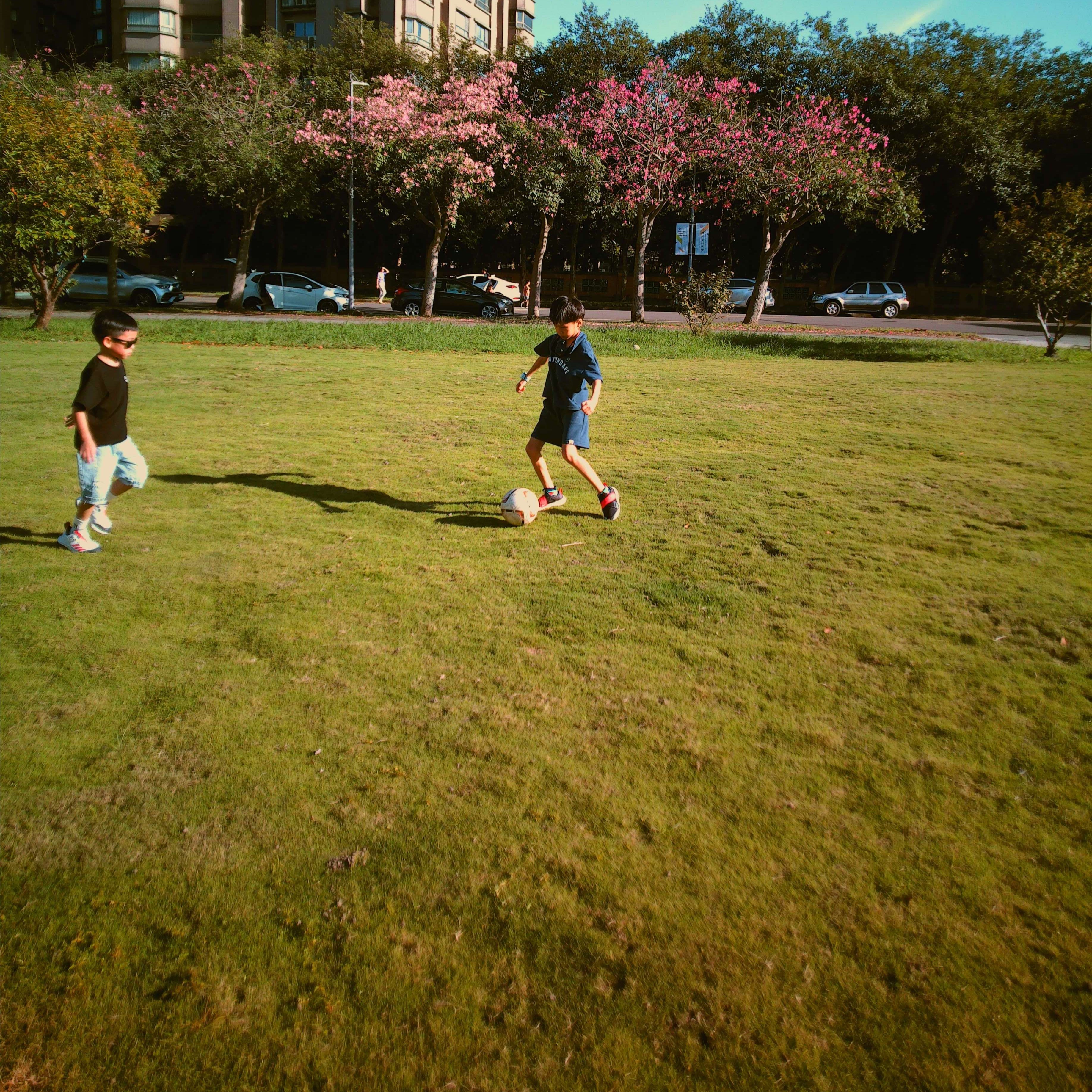 Filter Expansion Card