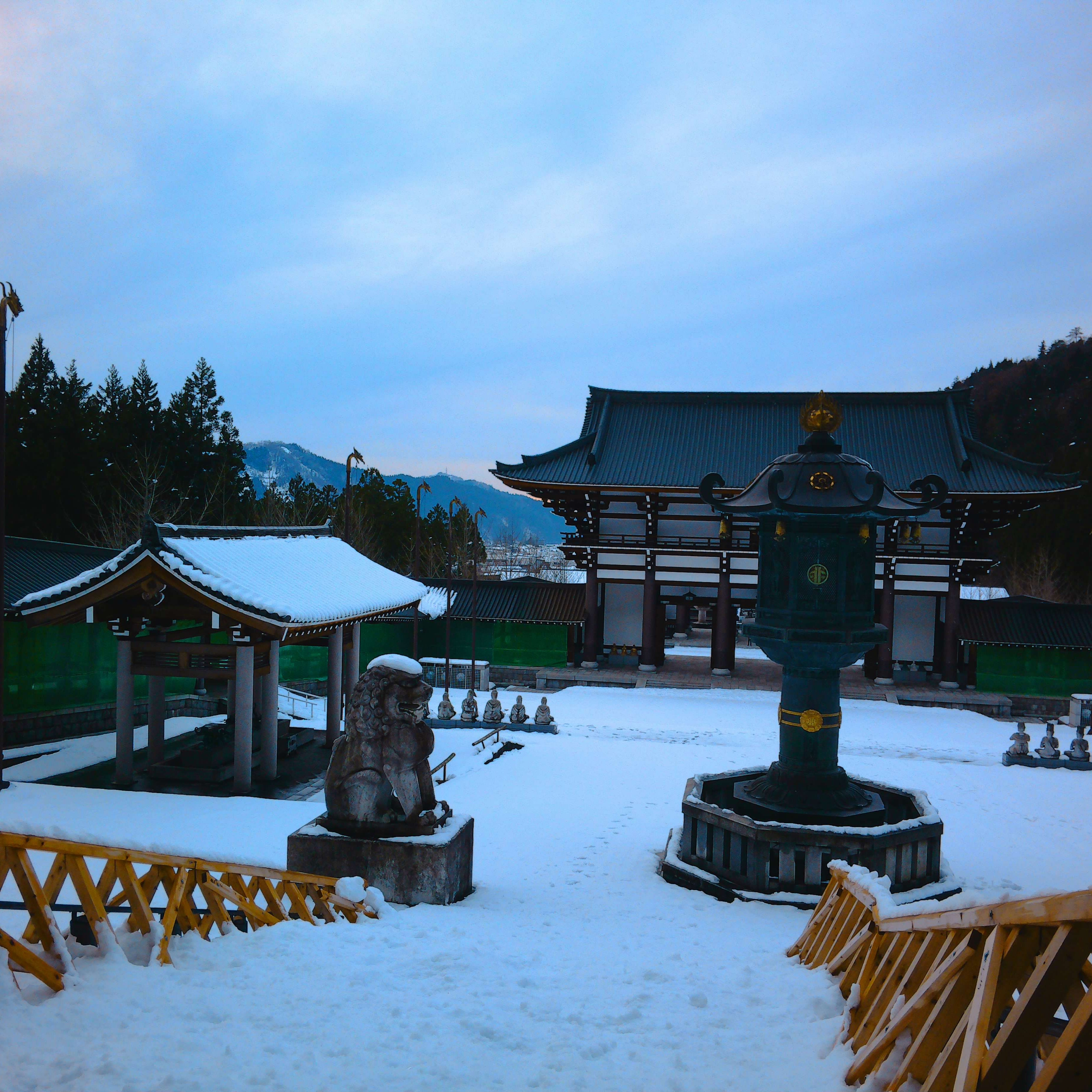 Filter Expansion Card