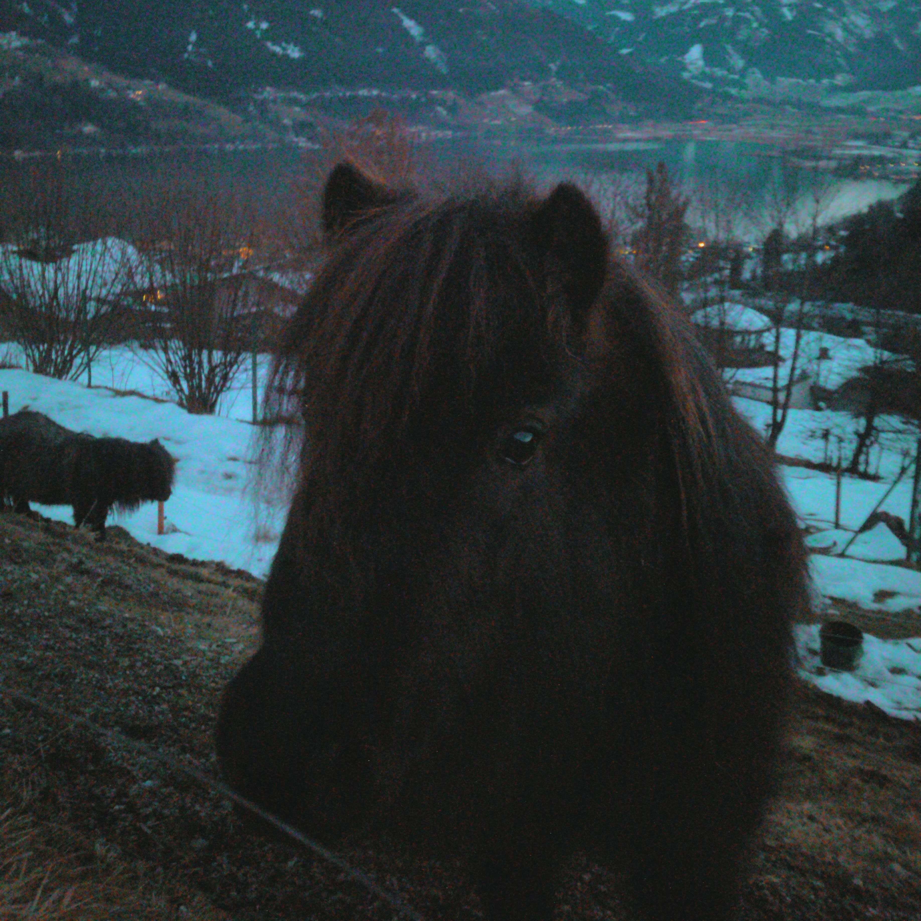 Filter Expansion Card