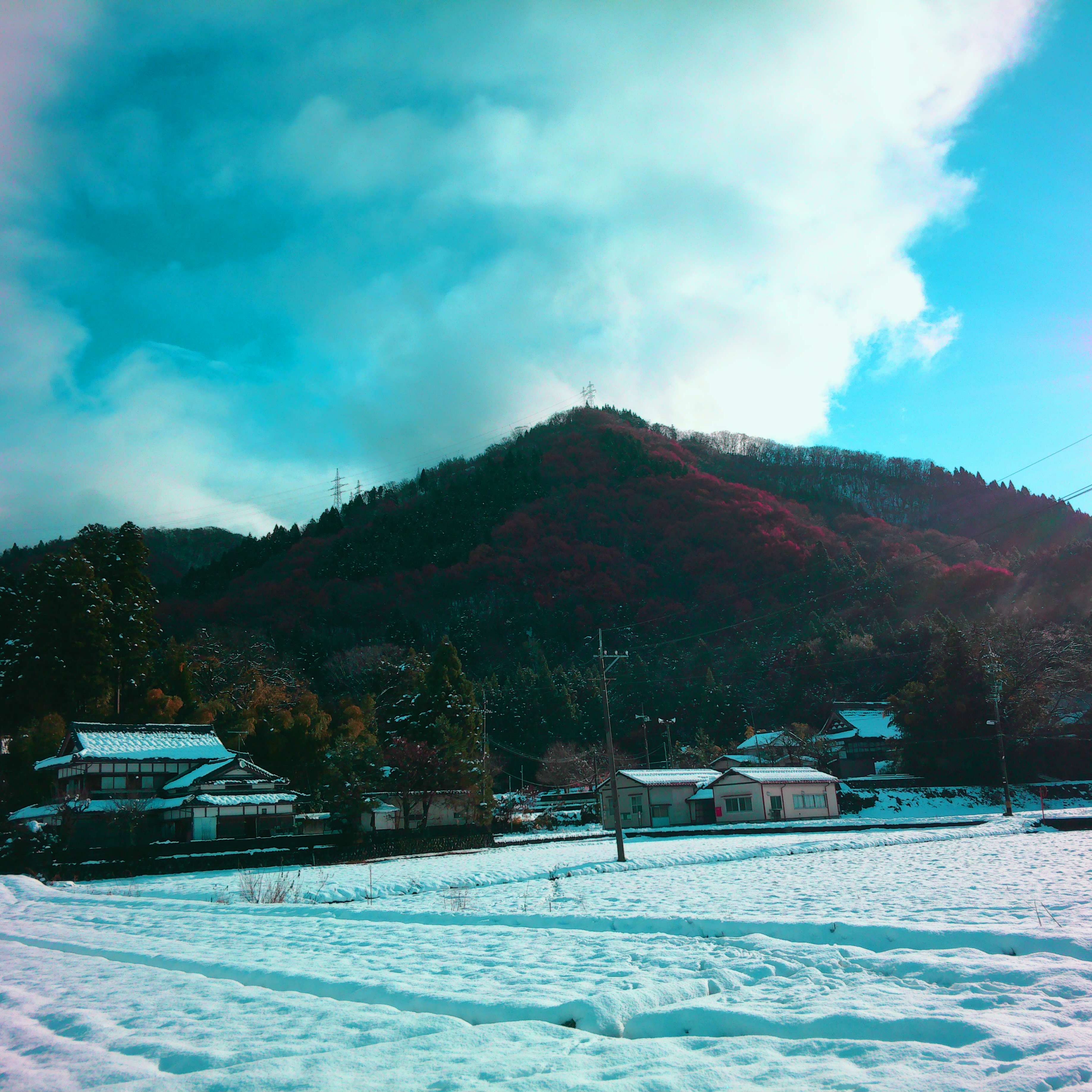 Filter Expansion Card