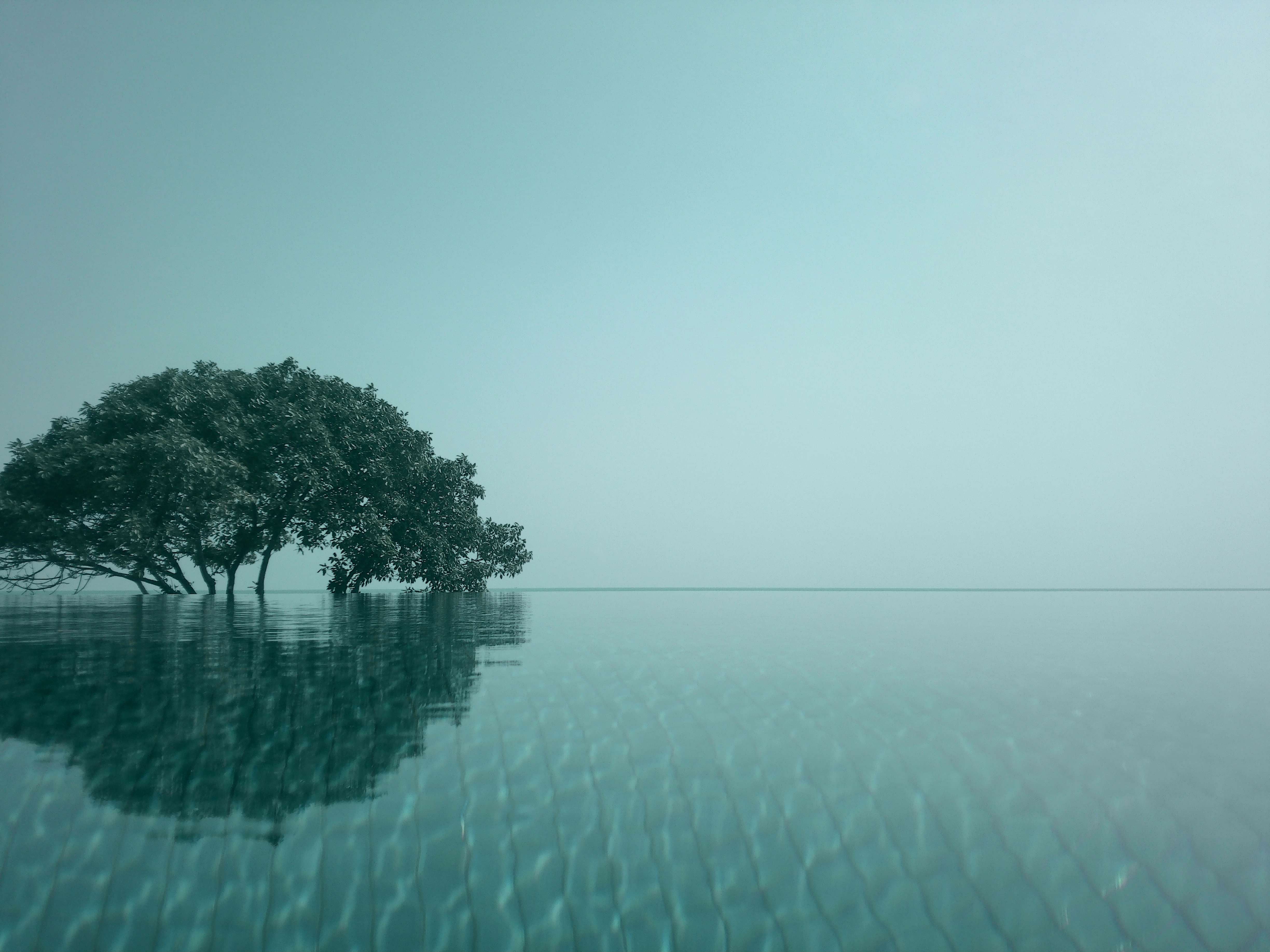 Filter Expansion Card