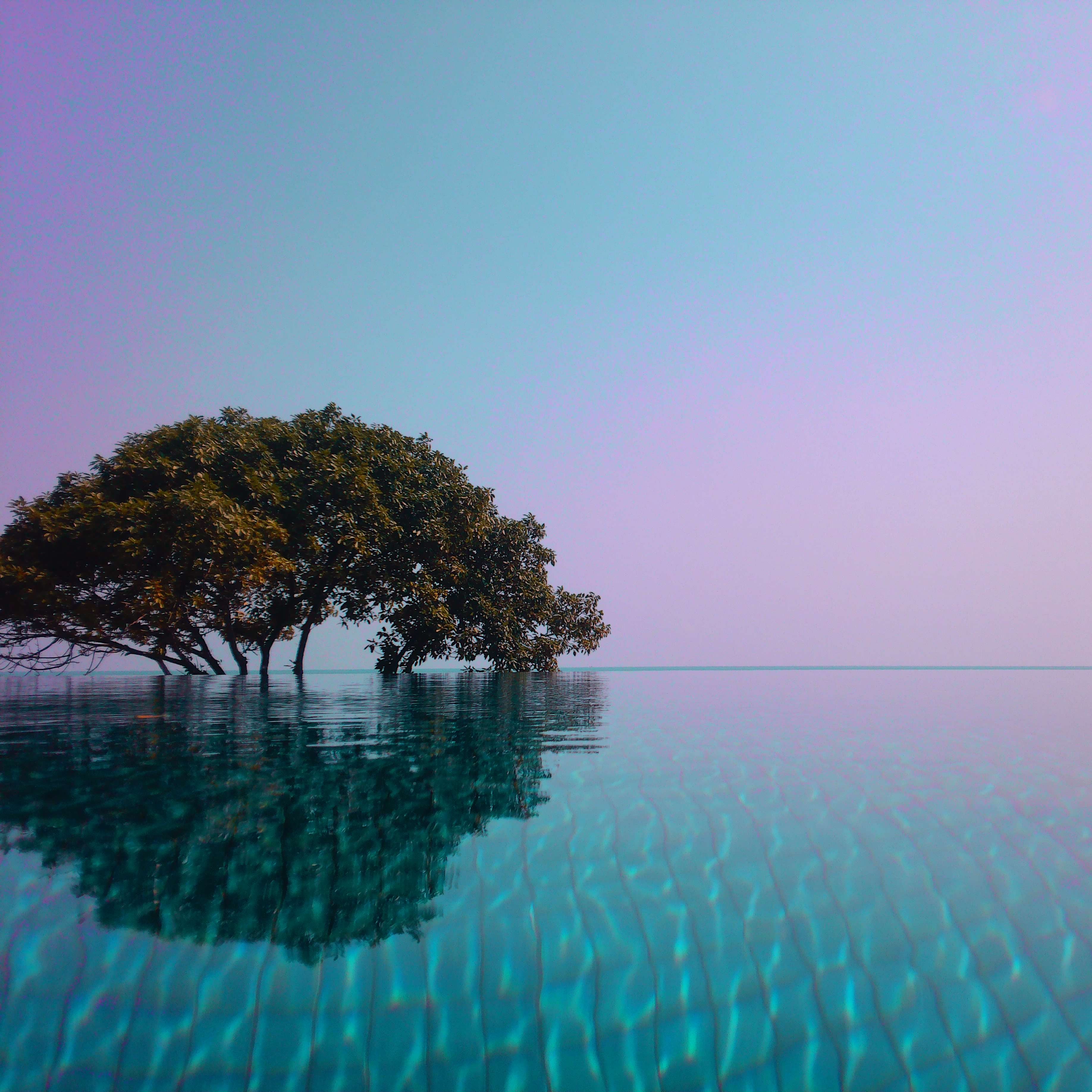 Filter Expansion Card