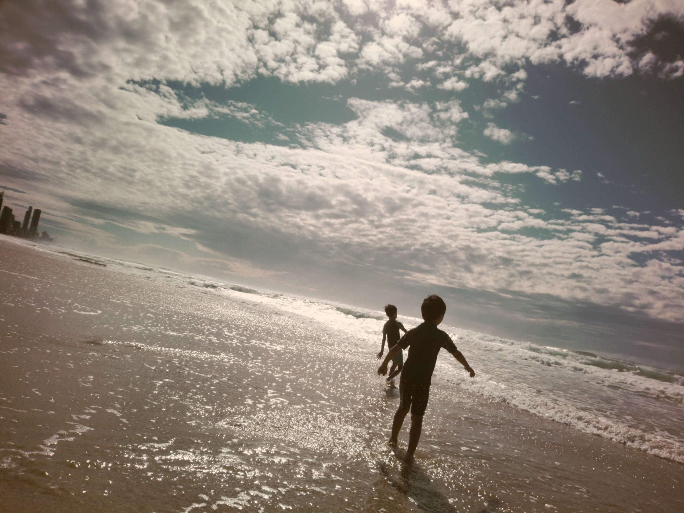 Filter Expansion Card