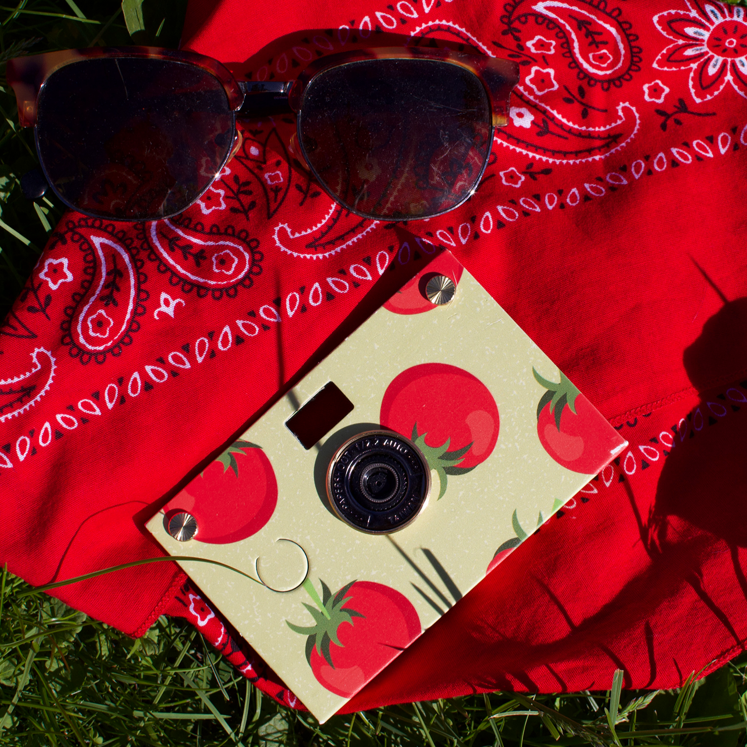 FruitPlay Paper Camera