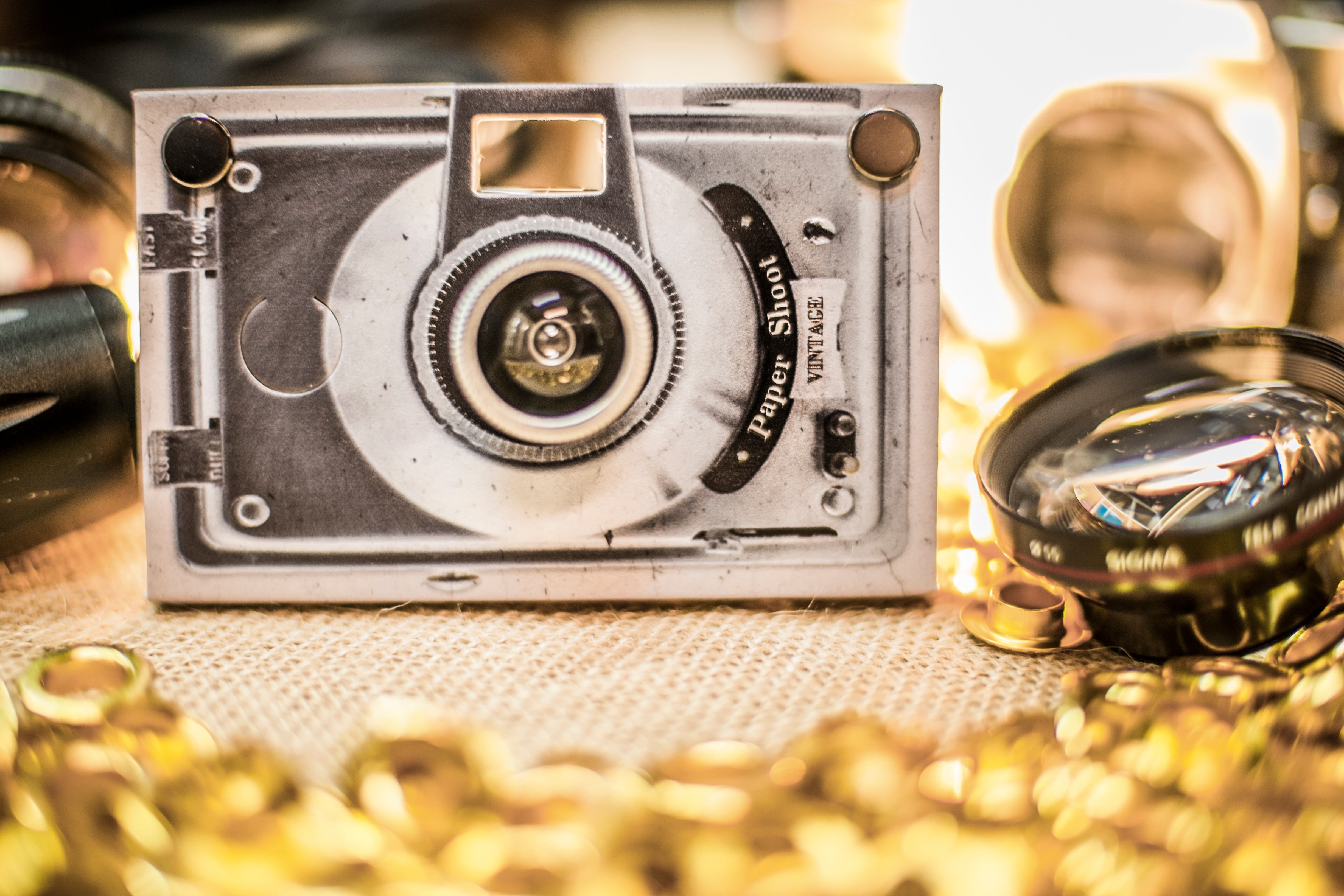 Paper Case - Vintage Camera