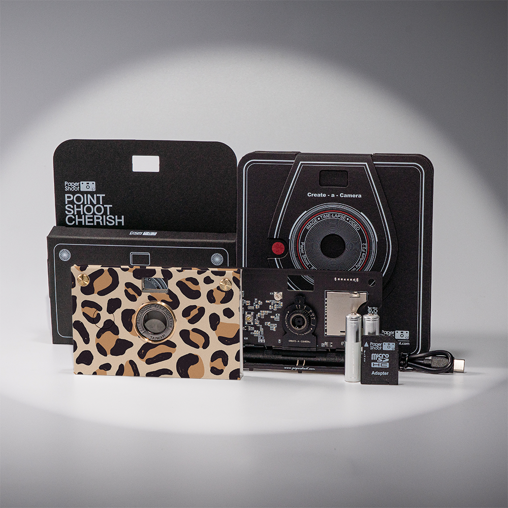 Pattern Play Paper Camera