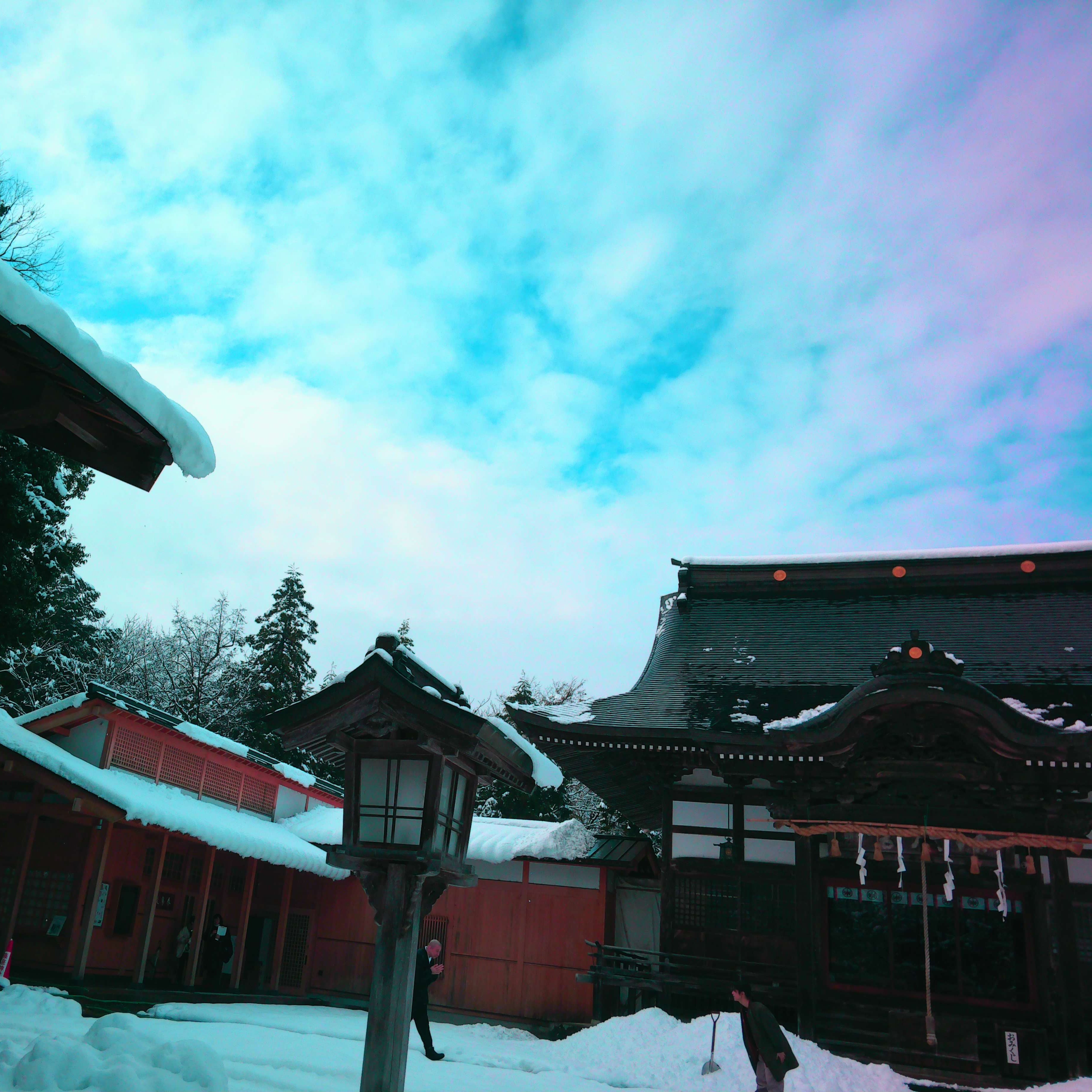 Filter Expansion Card