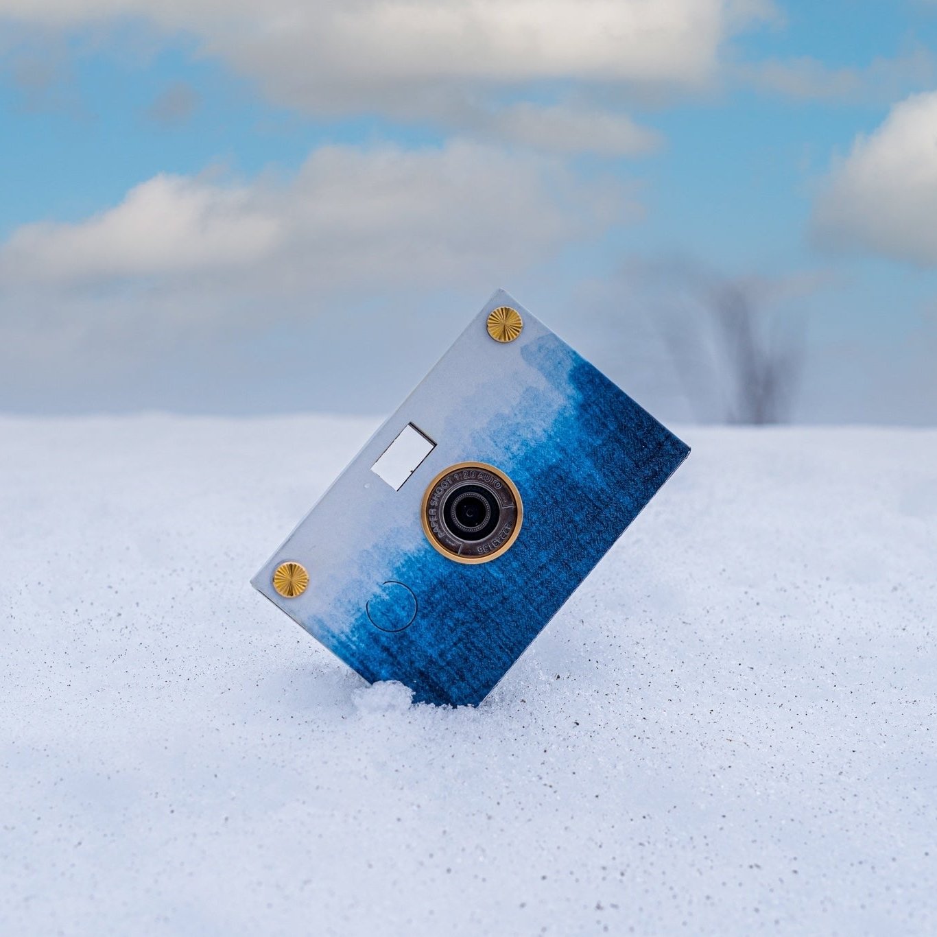 Canvas Bloom Paper Camera