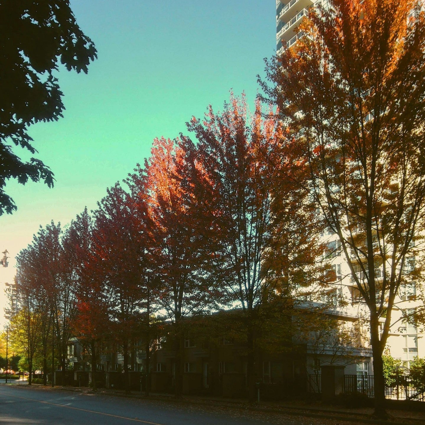 Filter Expansion Card