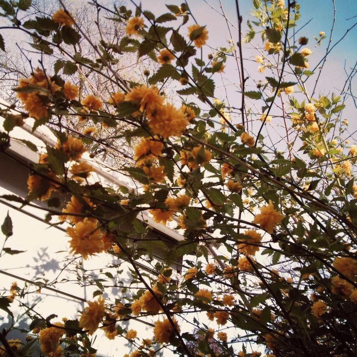 Feature Expansion 4-in-1 Card