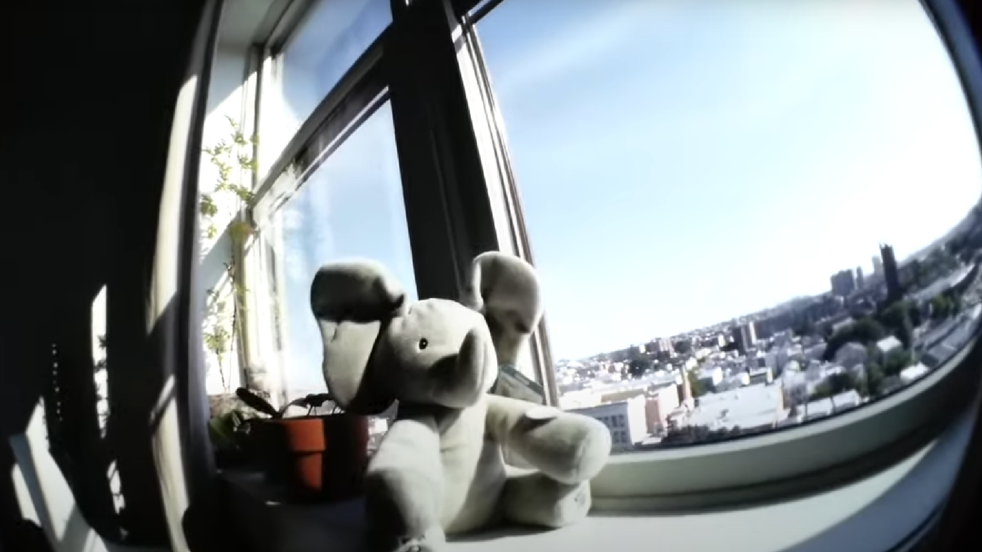 Feature Expansion Card