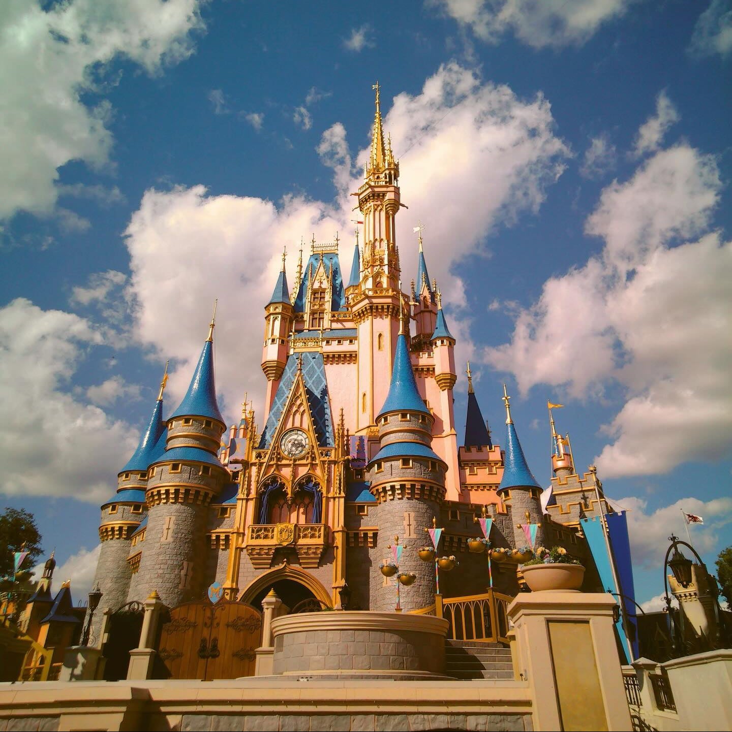 Filter Expansion Card