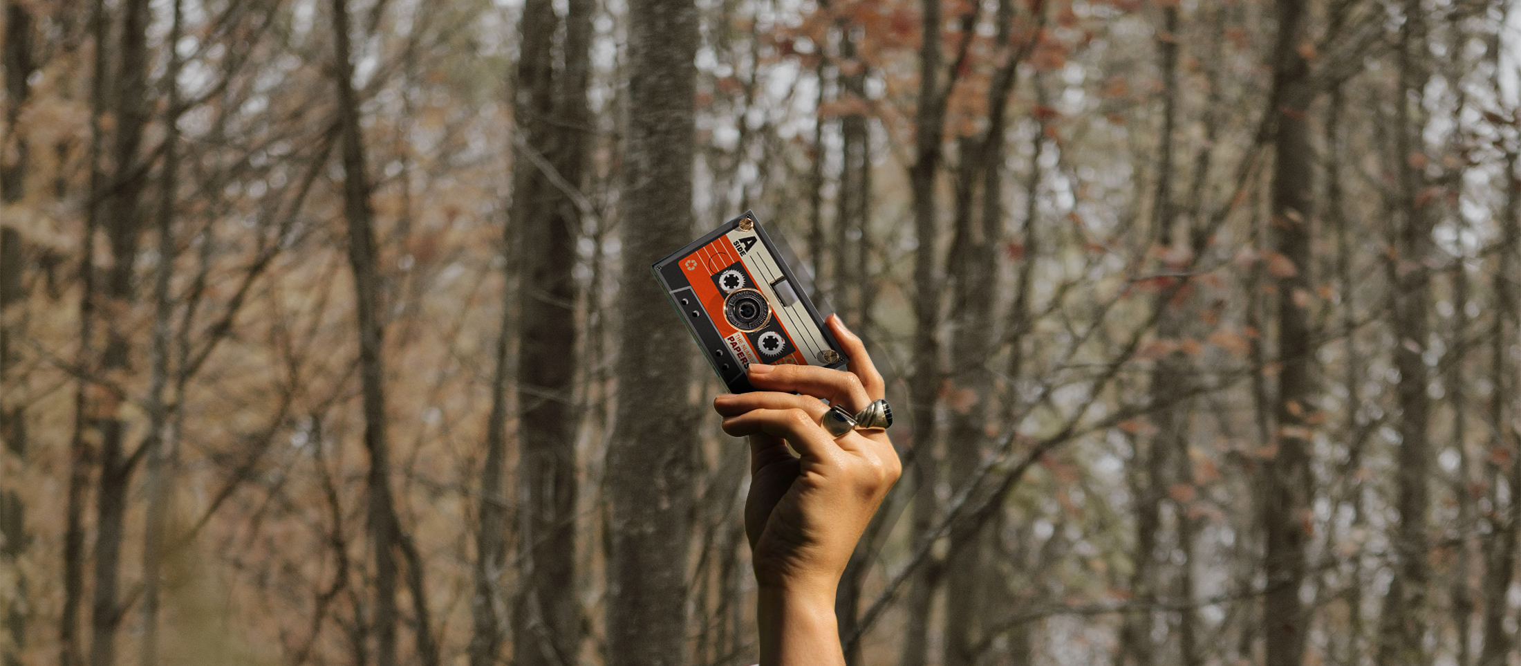 What Is Paper Shoot Camera?