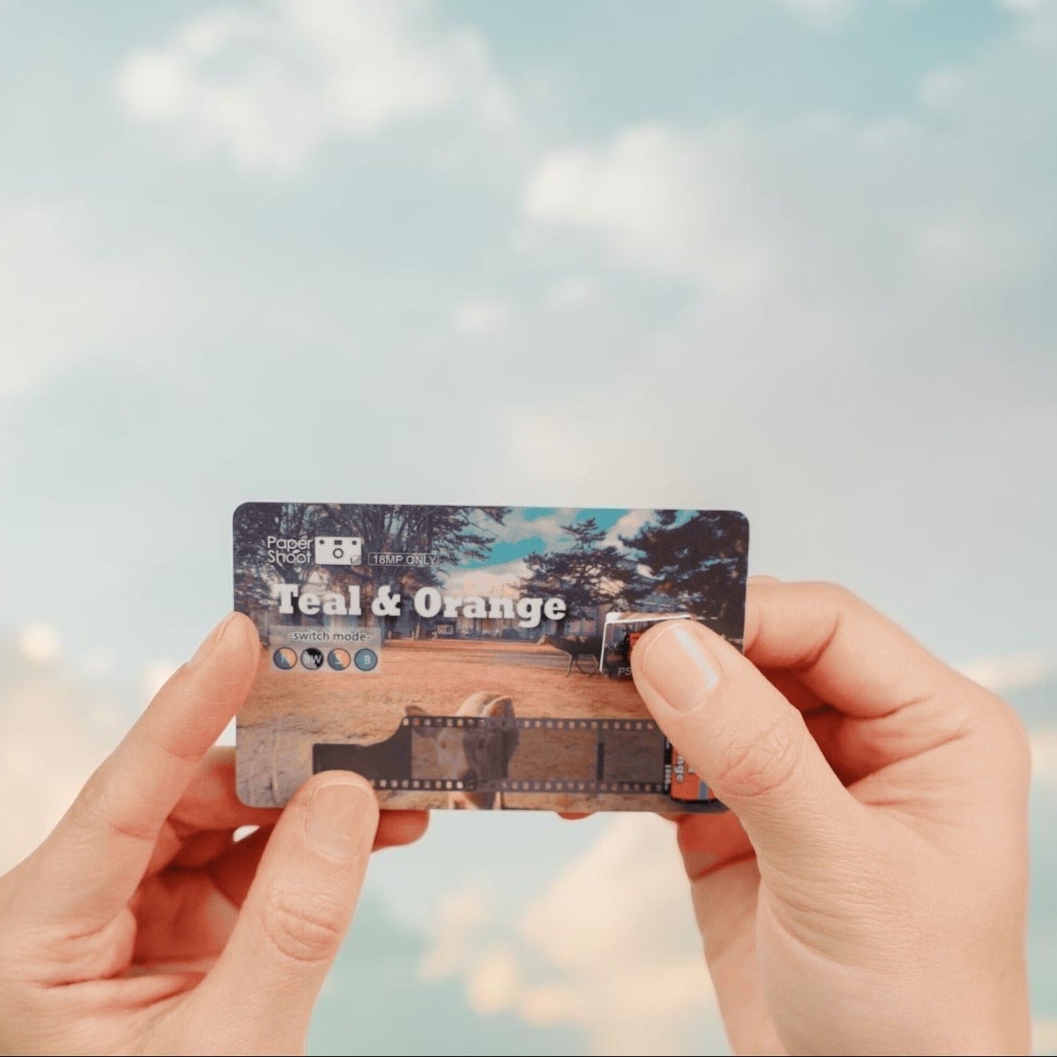 Filter Card