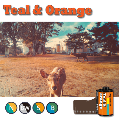Cinema Tone Filter 4-Card Set (16 Styles)