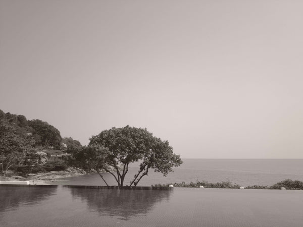 2. Classic Film in B/W Mode