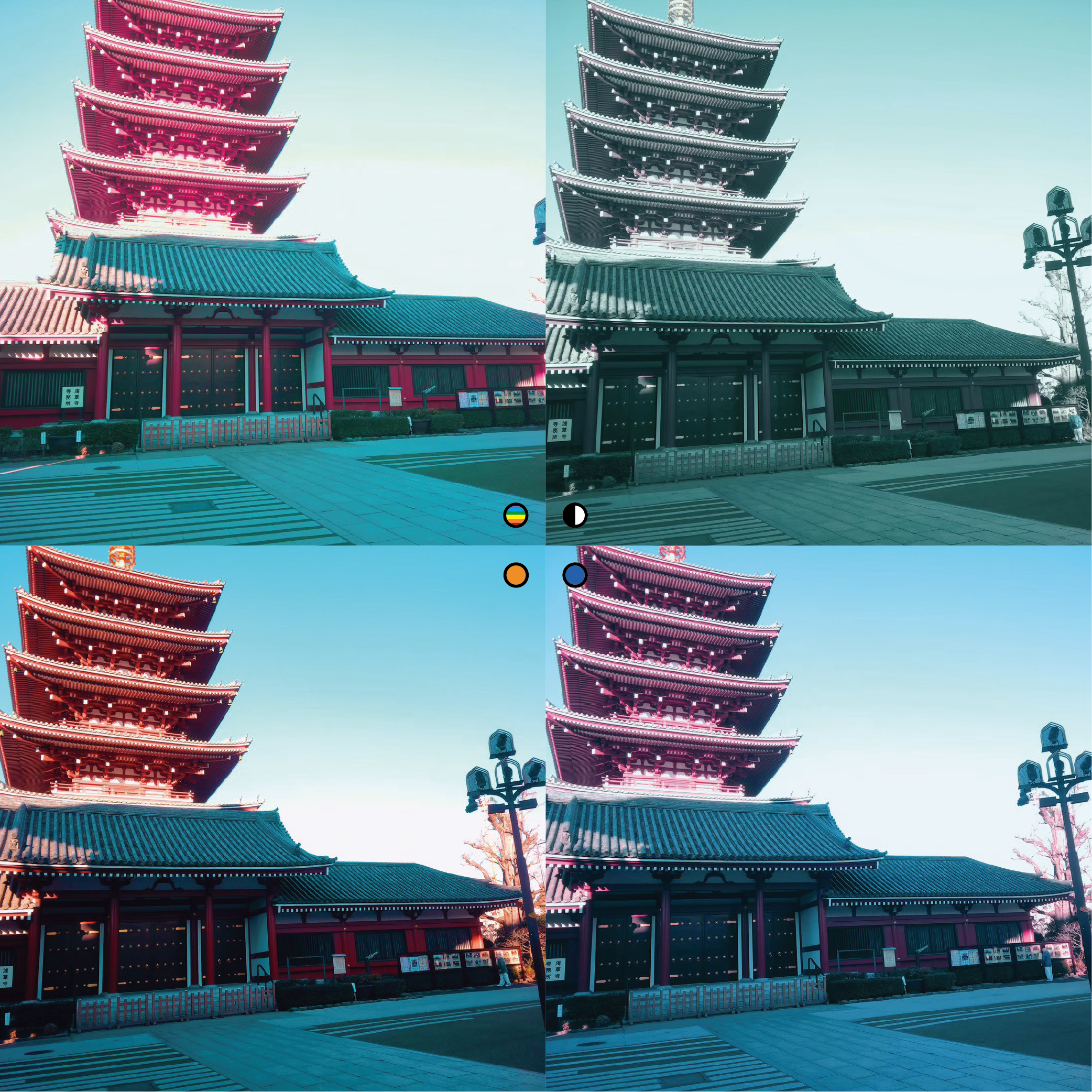 Filter Card - Dynamic