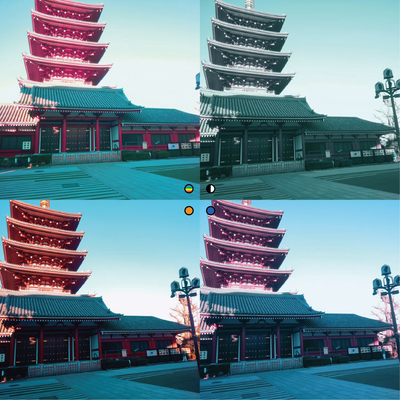 Filter Card - Dynamic