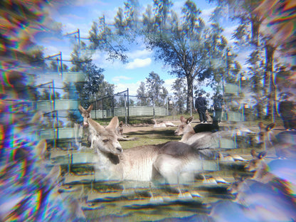 Effect Lens - Radial & Kaleidoscope Lens Set