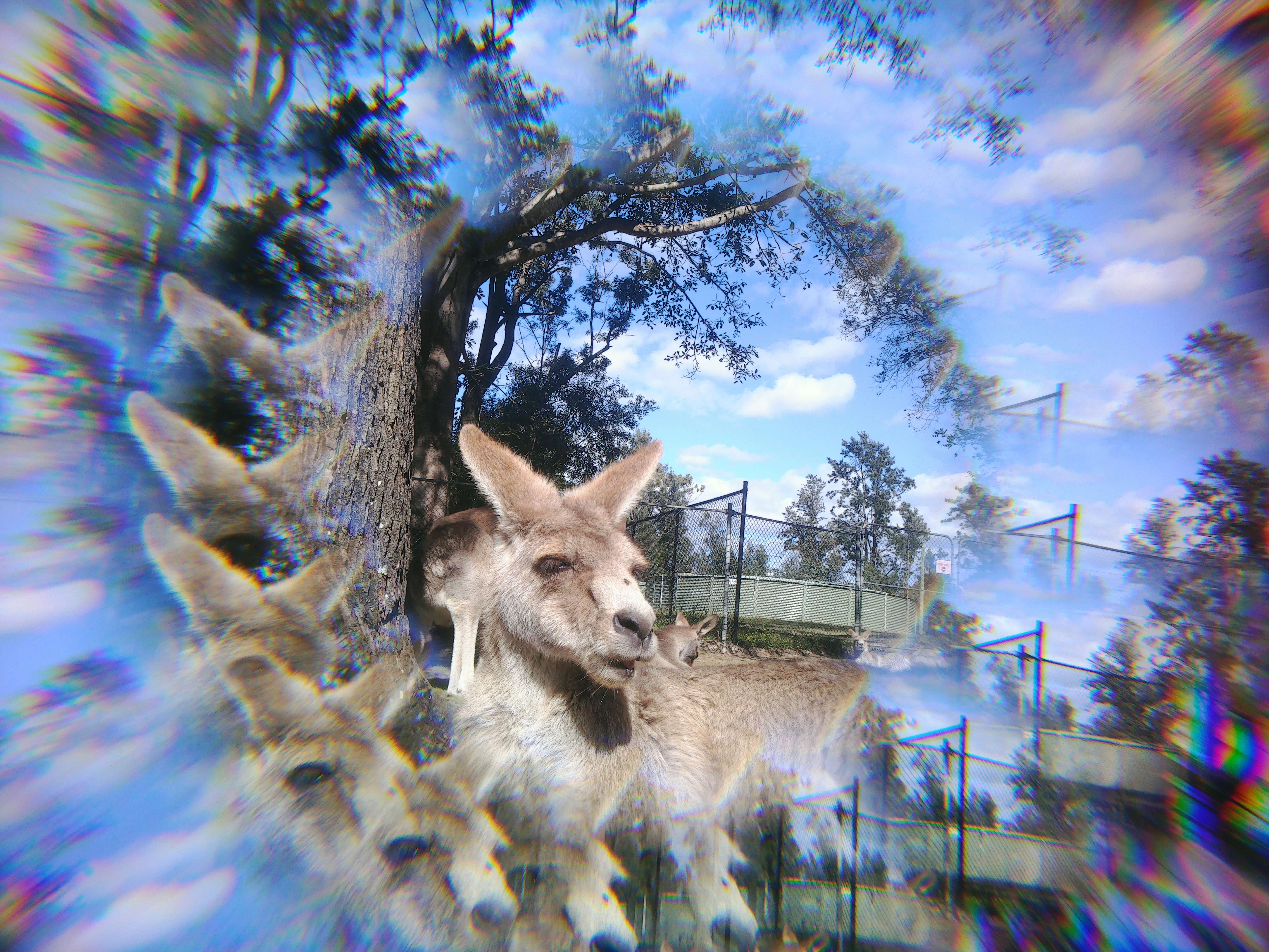 Effect Lens - Radial & Kaleidoscope Lens Set