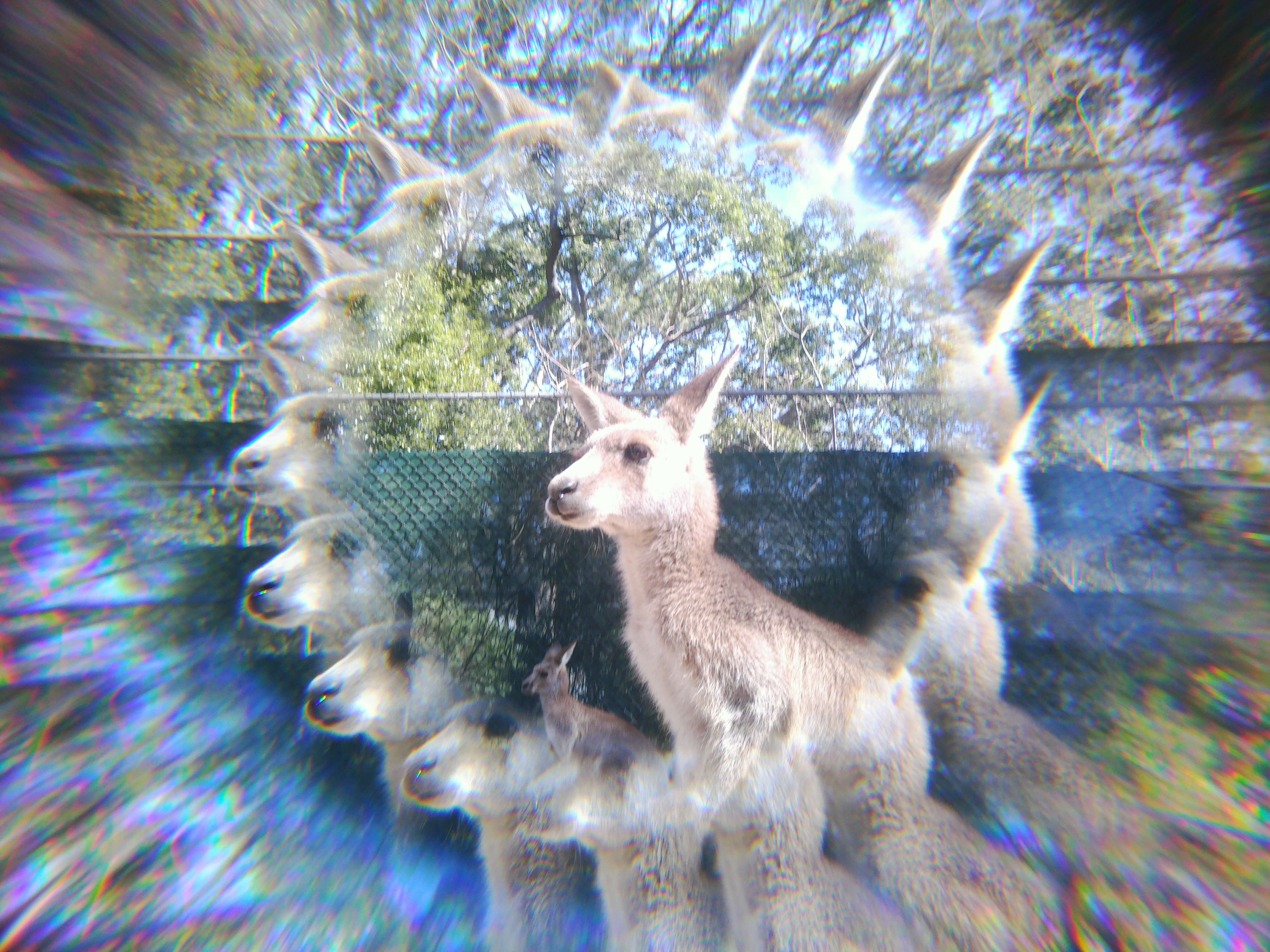 Effect Lens - Radial & Kaleidoscope Lens Set