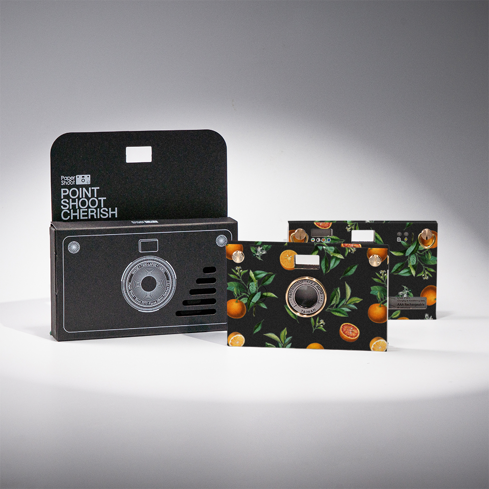 Paper Case -Valencia Oranges