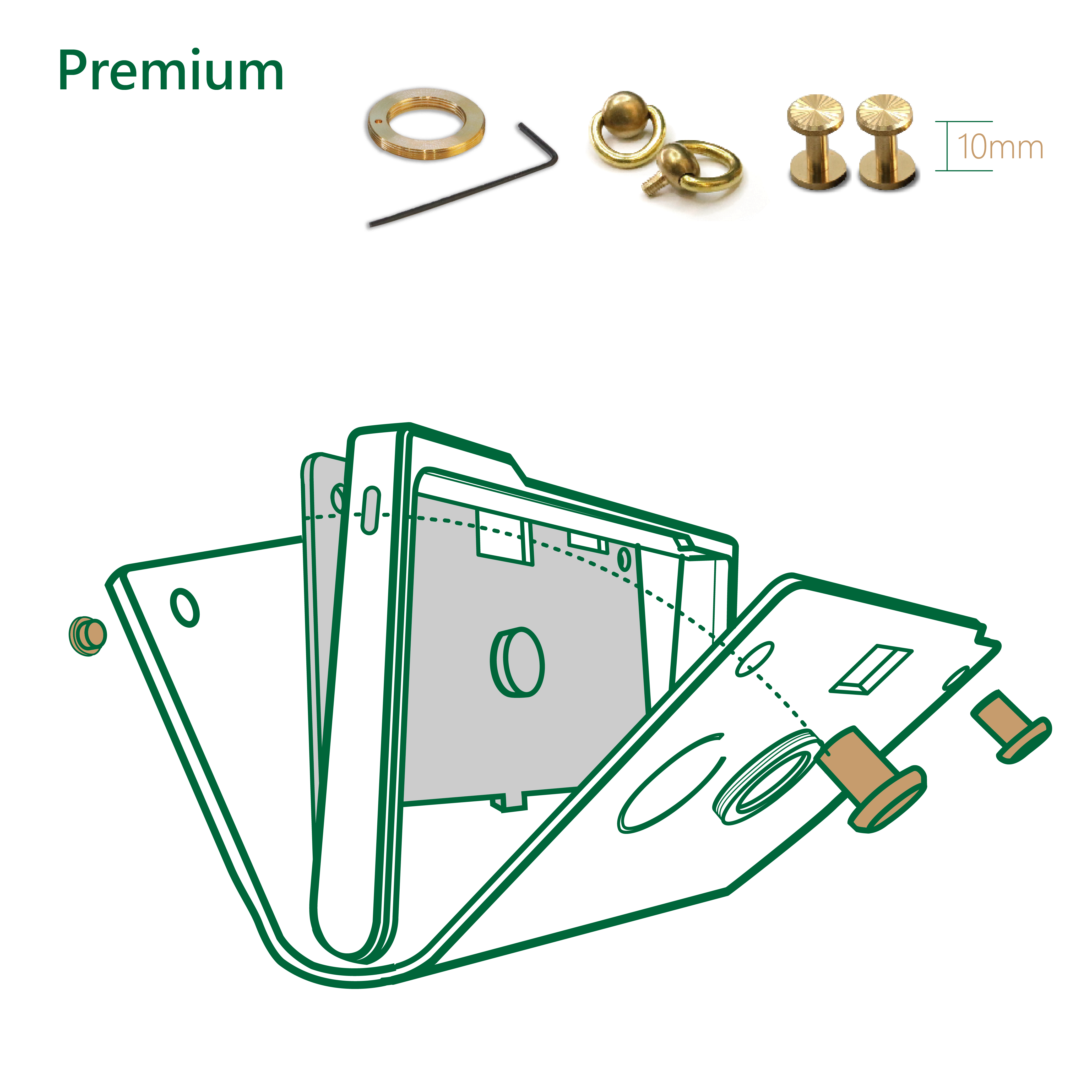 Brass Screws Set