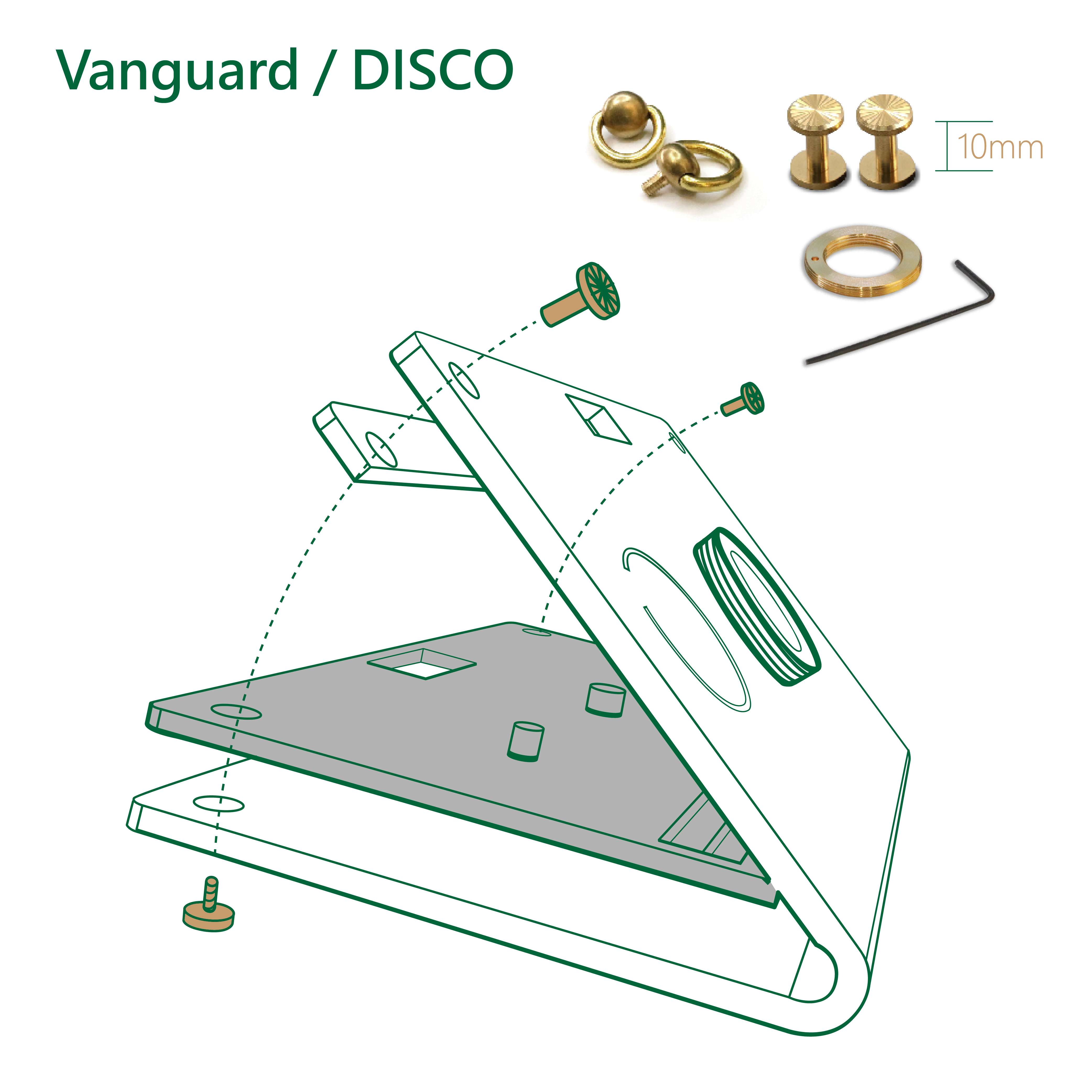 Brass Screws Set