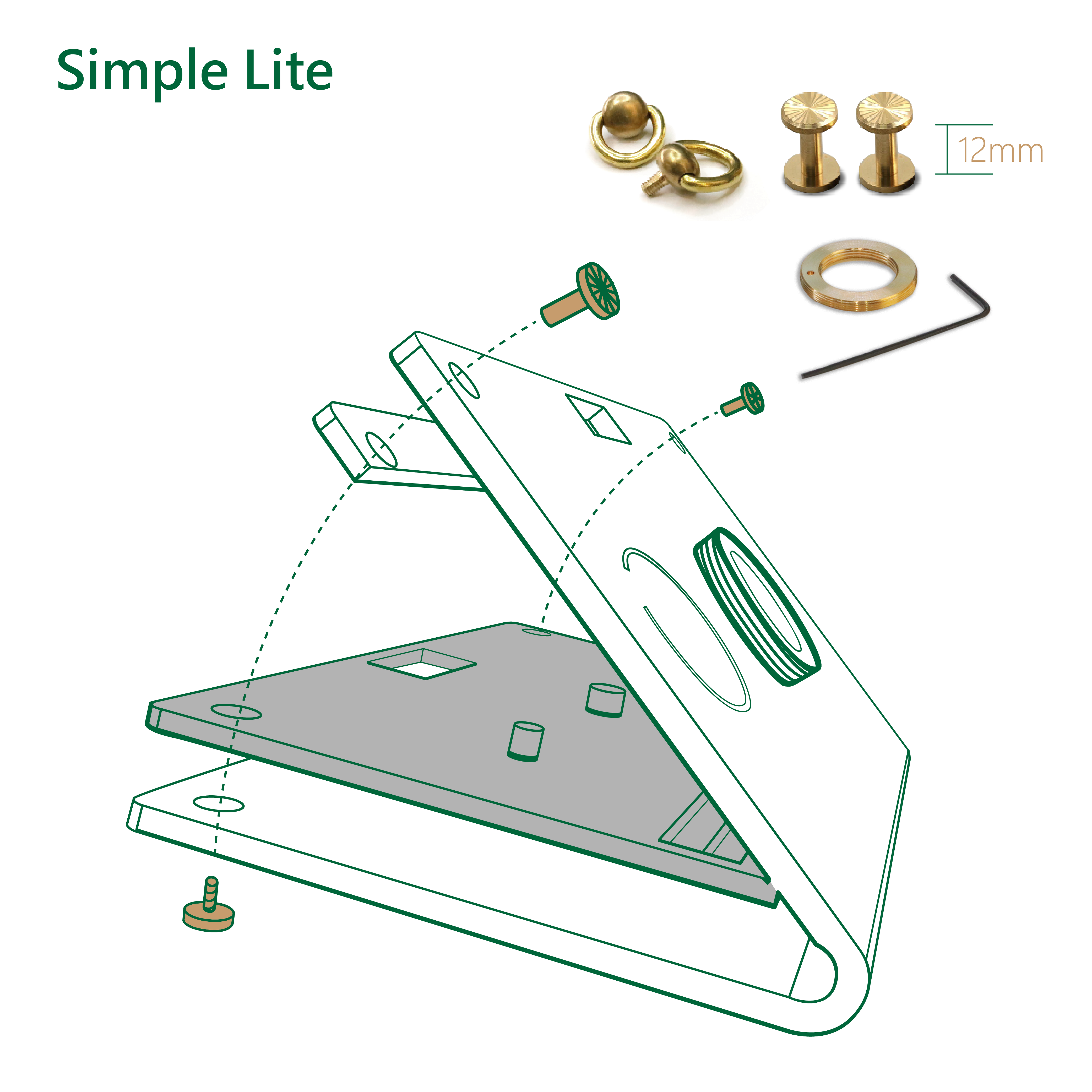 Brass Screws Set