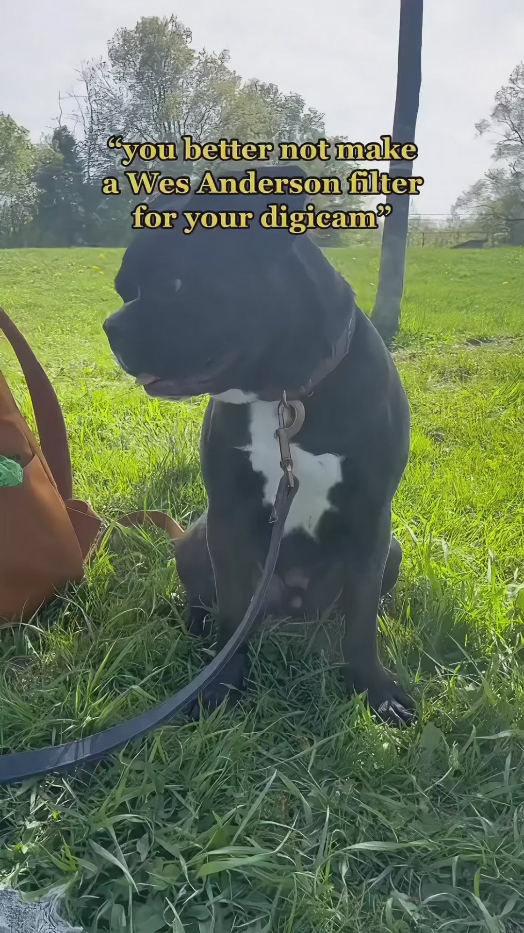 Filter Expansion Card