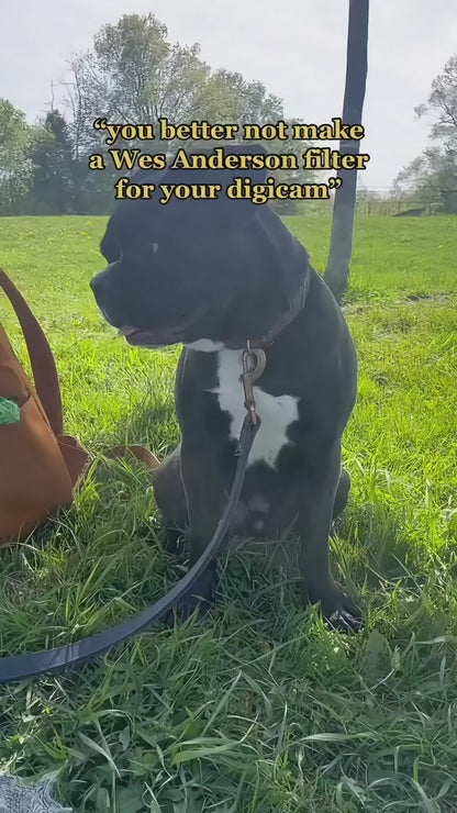 Filter Expansion Card