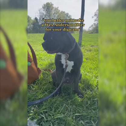 Filter Expansion Card