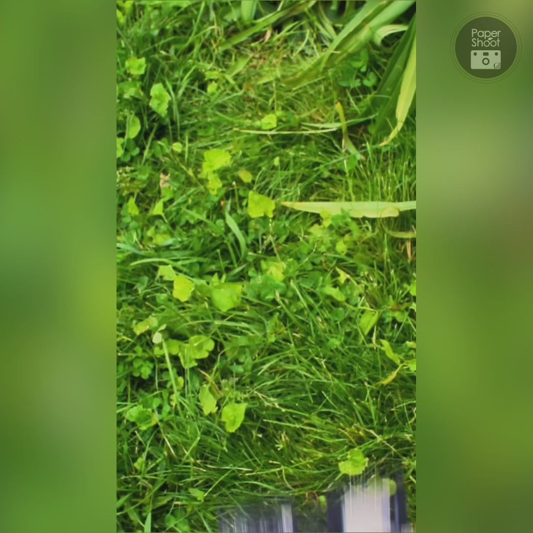 Load video: Aura Palette Camera