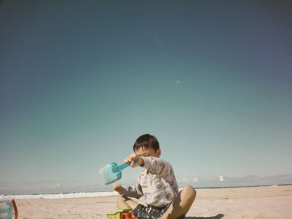 Filter Expansion Card