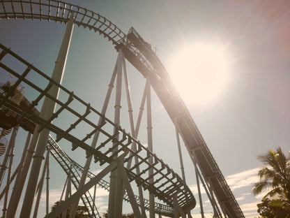 Filter Expansion Card